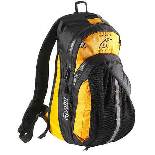 Black Bear Gemini